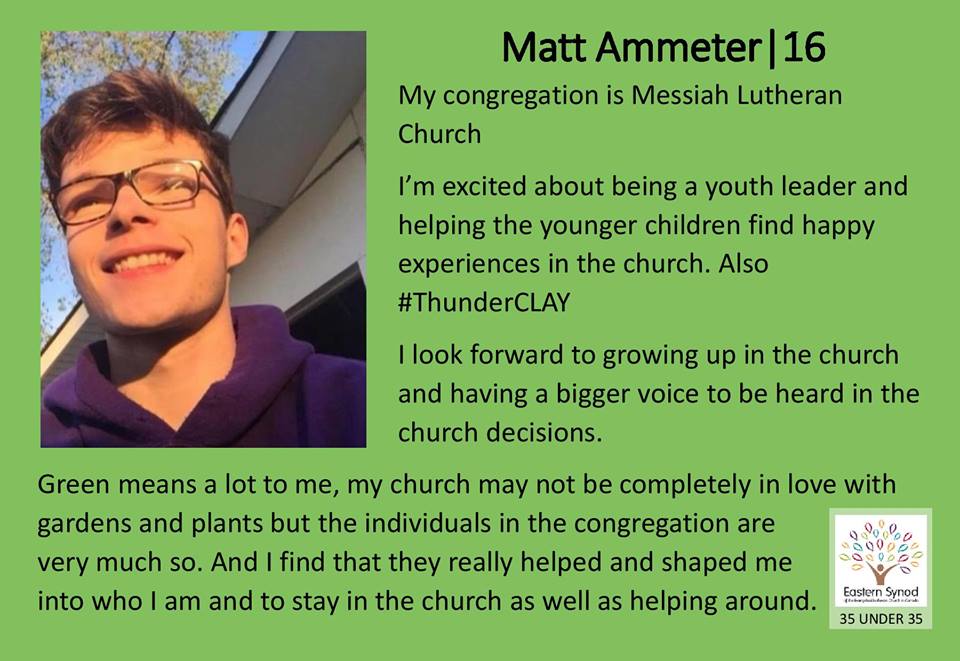 Matt Ammeter profile